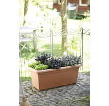 Rechteckiger Pflanzkasten aus Kunststoff in Terrakotta-Optik mit Kräutern auf einer gepflasterten Terrasse vor einem Metallzaun.