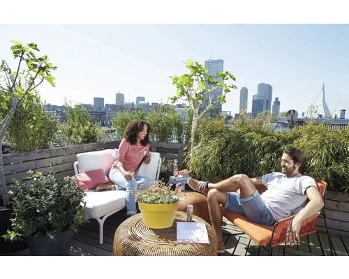 Toit-terrasse lumineux avec vue urbaine, mobilier de jardin, plantes en pot et deux personnes sur un platelage en bois.