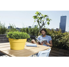 Pot de fleurs rond jaune sur une table en bois sur une terrasse de toit lumineuse avec vue sur la ville, des plantes et un homme qui lit.
