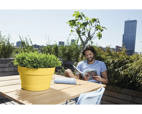 Pot de fleurs rond jaune sur une table en bois sur une terrasse de toit lumineuse avec vue sur la ville, des plantes et un homme qui lit.