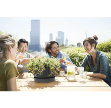 Coupe de fleurs gris foncé avec soucoupe sur table en bois, amis sur une terrasse de toit ensoleillée avec vue sur la ville.