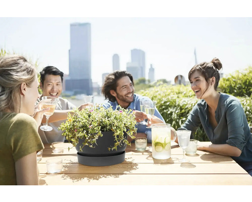 Coupe de fleurs gris foncé avec soucoupe sur table en bois, amis sur une terrasse de toit ensoleillée avec vue sur la ville.