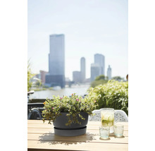 Pot de fleurs rond moderne avec soucoupe sur une table en bois sur une terrasse urbaine avec vue sur la ville et verres d'eau.
