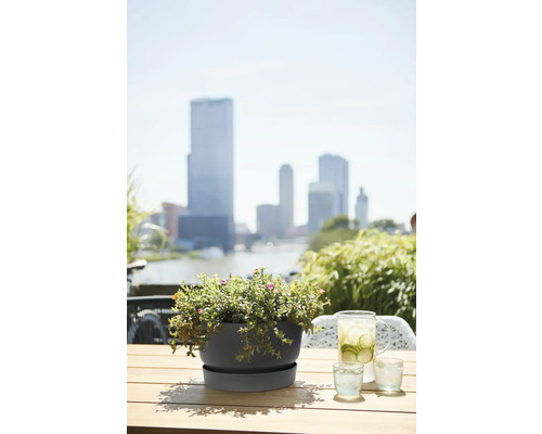 Pot de fleurs rond moderne avec soucoupe sur une table en bois sur une terrasse urbaine avec vue sur la ville et verres d'eau.