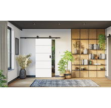 Moderne weiße Schiebetür mit schwarzen horizontalen Linien in einem hellen Wohnzimmer mit Holzregal, Pflanzen und Teppich.