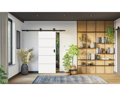 Moderne weiße Schiebetür mit schwarzen horizontalen Linien in einem hellen Wohnzimmer mit Holzregal, Pflanzen und Teppich.