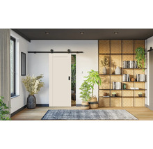 Modernes helles Zimmer mit weißer Schiebetür an schwarzer Laufschiene, Holzregal, Zimmerpflanzen und gemustertem Teppich auf Holzboden.