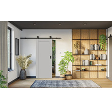 Porte coulissante gris clair avec système de rails noirs dans une pièce moderne avec parquet, plantes et étagère décorative.