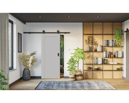 Porte coulissante gris clair avec système de rails noirs dans une pièce moderne avec parquet, plantes et étagère décorative.