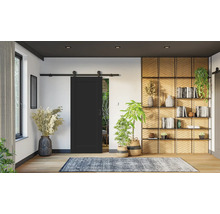 Salon moderne avec une porte coulissante noire, des étagères en bois, des plantes d'intérieur et un tapis sur un sol en bois clair.