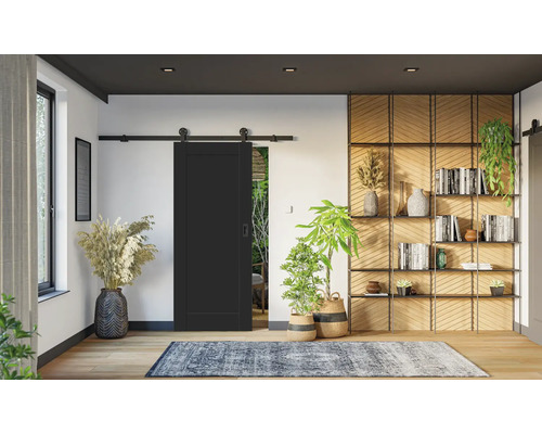 Salon moderne avec une porte coulissante noire, des étagères en bois, des plantes d'intérieur et un tapis sur un sol en bois clair.