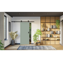 Porte coulissante vert sauge avec rail noir dans un salon moderne avec étagères en bois, plantes d'intérieur et un tapis à motifs.