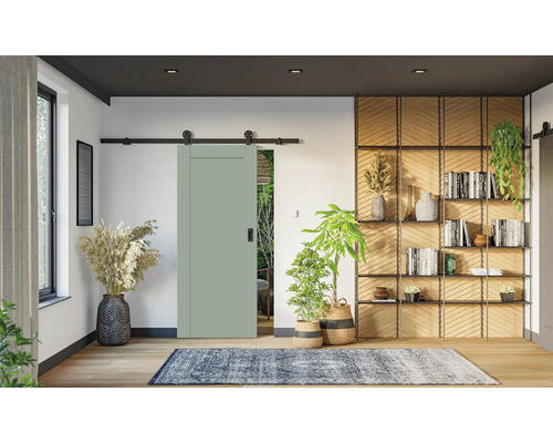 Porte coulissante vert sauge avec rail noir dans un salon moderne avec étagères en bois, plantes d'intérieur et un tapis à motifs.