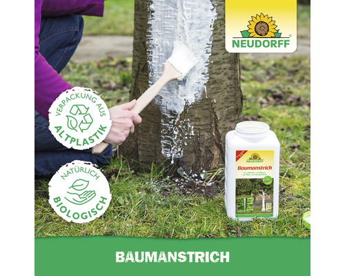 Neudorff Baumanstrich wird mit einem Pinsel auf einen Baumstamm aufgetragen. Symbole für Recycling und biologische Inhaltsstoffe, Neudorff Logo.