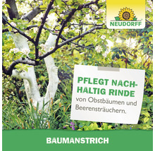 Obstbaumstamm mit weißem Schutzanstrich im Garten, Neudorff Logo und Text zur nachhaltigen Rindenpflege durch Baumanstrich.