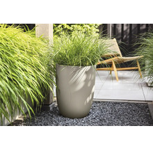 Grand pot de fleurs beige à structure ondulée avec herbe ornementale sur gravier sombre dans un jardin lumineux avec terrasse.
