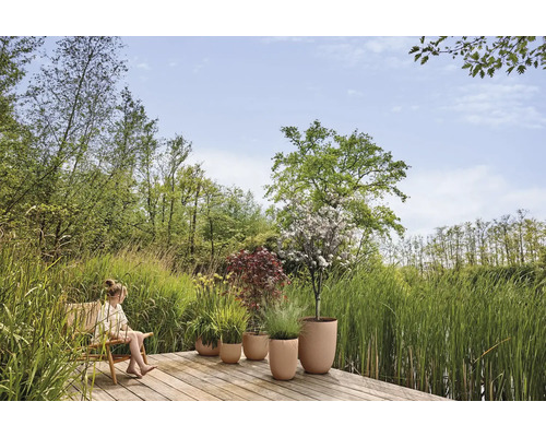 Terrasse en bois au bord d'un étang avec un enfant et diverses plantes dans des pots ronds beiges, entourée de hautes herbes et d'arbres.