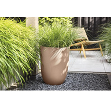 Jardinière beige avec structure ondulée et graminée ornementale sur une terrasse moderne avec gravier gris.