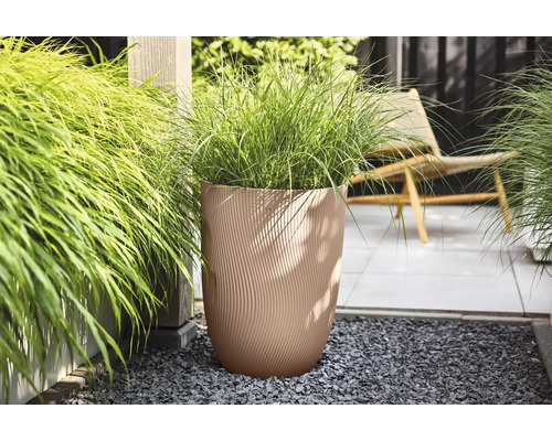 Jardinière beige avec structure ondulée et graminée ornementale sur une terrasse moderne avec gravier gris.