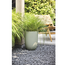 Grand pot de fleurs vert clair avec structure ondulée et herbe ornementale sur gravier gris dans le jardin.