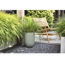 Herbe ornementale dans un grand pot de fleurs vert texturé sur une terrasse moderne avec du gravier gris et une chaise longue en bois.