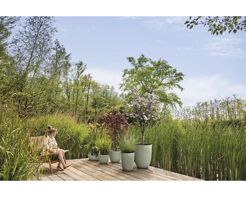 Pots de fleurs vert clair avec différentes plantes sur une terrasse en bois, entourés de hautes herbes et d'arbres dans une atmosphère lumineuse.