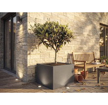 Grand bac à fleurs carré avec olivier sur une terrasse lumineuse avec mur en pierre, banc en bois et spots au sol.