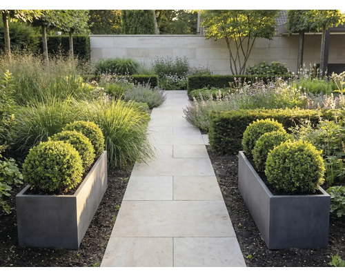 Jardin moderne avec allée en pierre, bacs gris avec buis en boule, graminées et haies devant un mur en pierre.