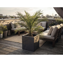 Bac à fleurs carré moderne avec palmier sur une terrasse de toit lumineuse avec des meubles en bois et vue sur la ville.