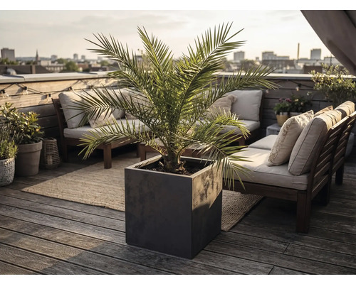 Bac à fleurs carré moderne avec palmier sur une terrasse de toit lumineuse avec des meubles en bois et vue sur la ville.
