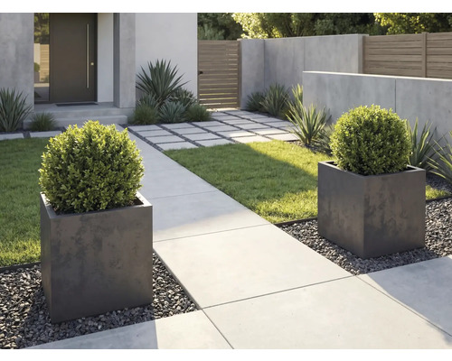 Aménagement de jardin moderne avec deux jardinières carrées, des buis, un chemin en béton et du gravier.