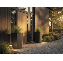 Zwei hohe, dunkle Pflanzkübel in Rattan-Optik mit Ziergras vor einem modernen, organisierten Hauseingang mit Holzverkleidung und Steinplatten.