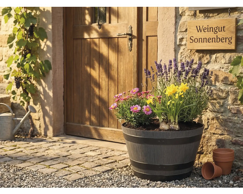 Großer Pflanzkübel in Fass-Optik mit Lavendel, Narzissen und Margeriten vor einer rustikalen Holztür und Steinwand.