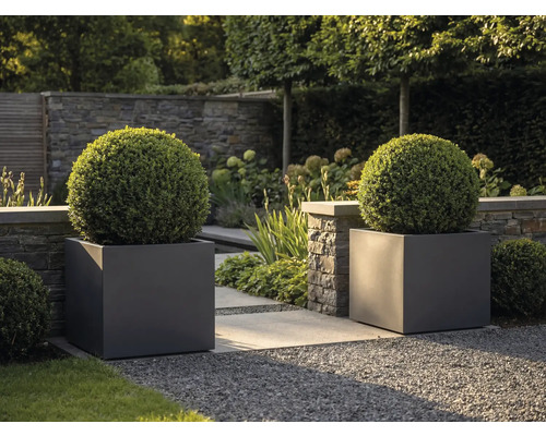 Zwei große anthrazitfarbene quadratische Pflanzkübel mit kugelförmigen Buchsbäumen in einem modernen Garten mit Steinmauer und Kiesweg.