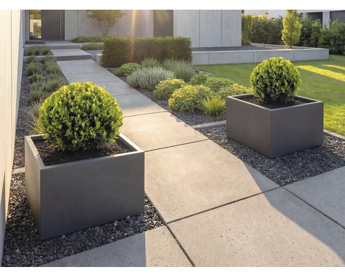 Jardin moderne avec grandes dalles en béton, jardinières carrées anthracite et buis taillés en boule.