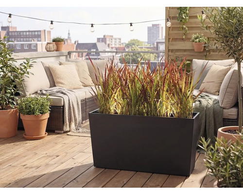 Terrasse de toit avec un bac à fleurs noir contenant des herbes ornementales, canapé d'extérieur et pots en terre cuite sur un sol en bois.