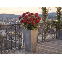 Hoher quadratischer Pflanzkübel in Grau mit roten Rosen auf einem Balkon mit Holzdiele und dekorativem Metallgeländer.