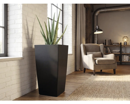 Hoher schwarzer Pflanzkübel in quadratischer konischer Form mit einer Aloe Vera Pflanze in einem hellen Wohnzimmer mit Backsteinwand.
