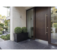 Entrée moderne avec une porte d'entrée en bois foncé, une longue poignée en métal, des fenêtres latérales et un bac à plantes rectangulaire noir avec deux plantes vertes sphériques.