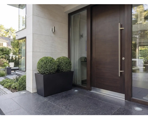 Entrée moderne avec une porte d'entrée en bois foncé, une longue poignée en métal, des fenêtres latérales et un bac à plantes rectangulaire noir avec deux plantes vertes sphériques.