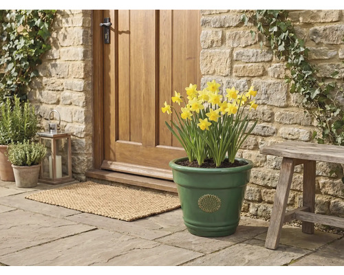 Grüner glasierter Keramik-Pflanztopf mit Sonnenblumen-Emblem und gelben Narzissen, vor einer Natursteinwand im Eingangsbereich.