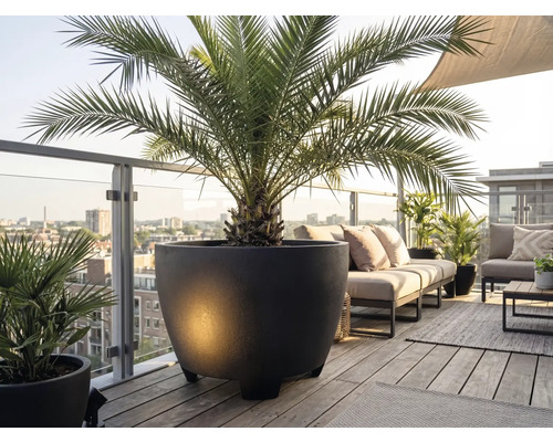 Grand bac à plantes rond avec un palmier sur un balcon moderne en bois avec des meubles de salon et vue sur la ville.