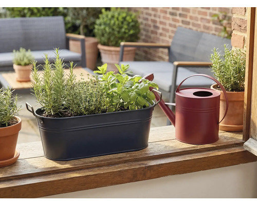 Dunkelblaues Metall-Pflanzgefäß mit Kräutern wie Rosmarin und Minze neben einer roten Gießkanne auf einem Holzsims auf einer hellen Terrasse.