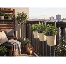 Balcon lumineux avec pots d herbes suspendus à la balustrade, meubles de salon, un petit olivier et des lanternes décoratives.