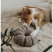 Chien couché dans un panier douillet jouant avec un jouet en peluche rond et texturé.