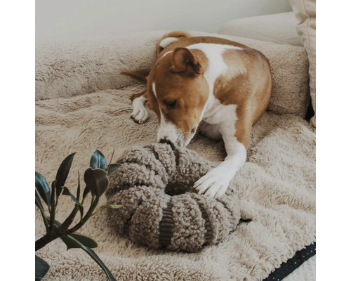 Chien couché dans un panier douillet jouant avec un jouet en peluche rond et texturé.