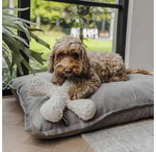 Chien brun couché sur un coussin pour chien gris en tissu avec un jouet en peluche crème en forme d'os dans une pièce lumineuse.