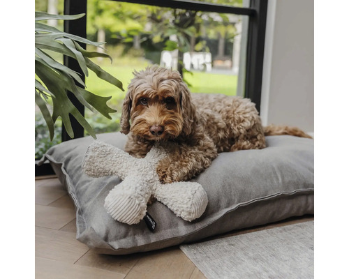 Chien brun couché sur un coussin pour chien gris en tissu avec un jouet en peluche crème en forme d'os dans une pièce lumineuse.