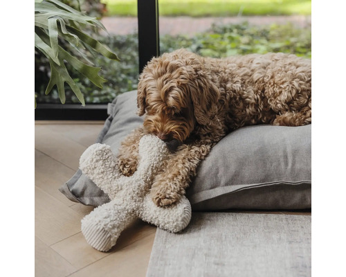 Un chien allongé sur un coussin gris pour chien, jouant avec un jouet en peluche de couleur claire.