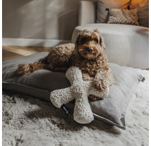 Chien couché sur un grand coussin pour chien avec un jouet en peluche dans un salon lumineux et organisé sur un tapis doux.
